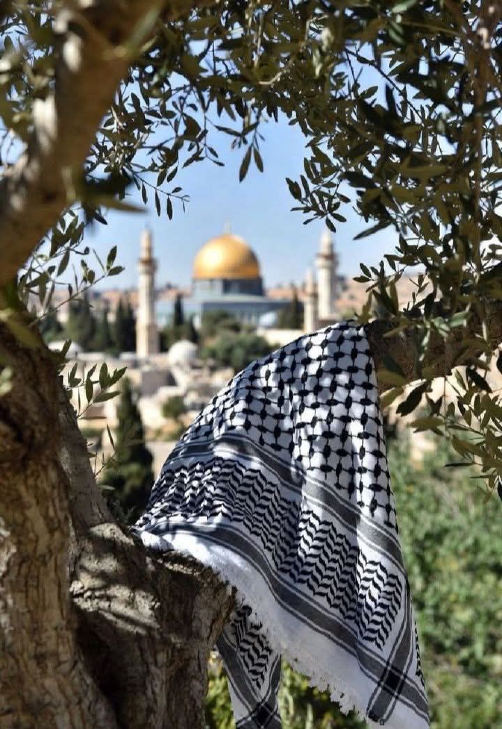 Palestine Rumal